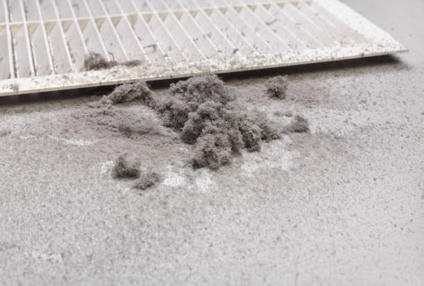 Best Air Duct Mold Removal  in Burney, CA