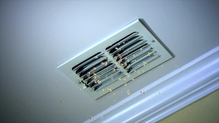Best Ductwork Cleaning Services  in Burney, CA
